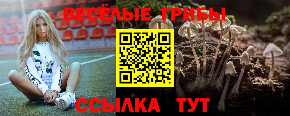Псилоцибиновые грибы GOLDEN TEACHER  Вход с VPN  Псилоцибиновые грибы Magic Shrooms  Всеволожск 