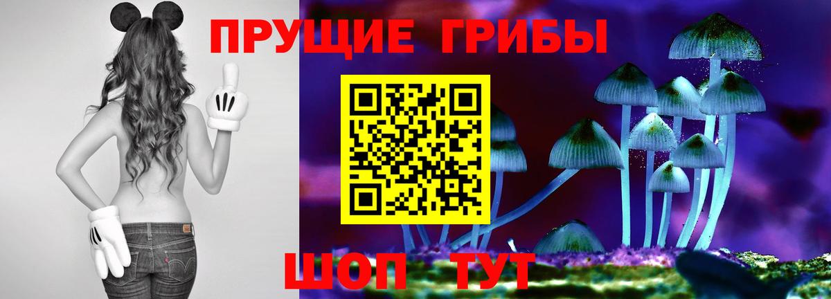 Галлюциногенные грибы Psilocybe Всеволожск